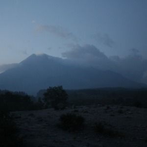 Meet your Posher, Dylan